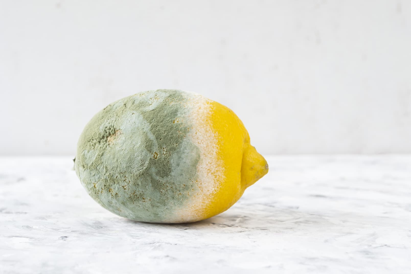 What Is the Easiest Way to Recognize Food Contaminated with Spoilage